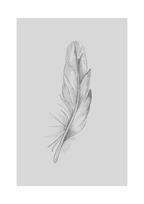 An unframed print of feather grey 1 graphical illustration in grey and white accent colour