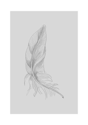 An unframed print of feather grey 2 graphical illustration in grey