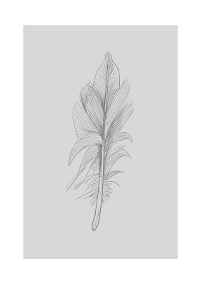 An unframed print of feather grey 3 graphical illustration in grey