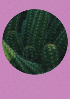 An unframed print of halftone cactus pink nature illustration in green and pink accent colour