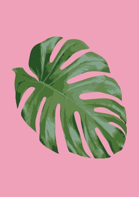 An unframed print of leaf on pink tropical botanical photograph in pink and green accent colour