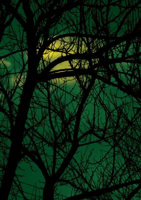 An unframed print of sunset through trees green botanical photograph in green and black accent colour