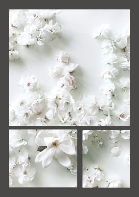An unframed print of grey flower nature photograph in white and black accent colour