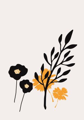 An unframed print of mustard flower series three botanical illustration in white and yellow accent colour
