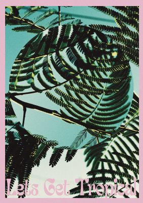 An unframed print of lets get tropical botanical photograph in green and pink accent colour