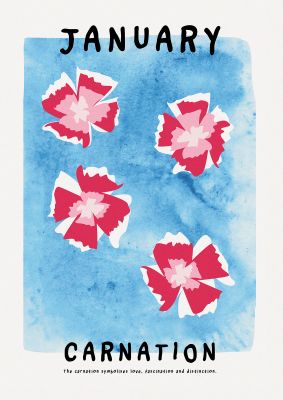 An unframed print of birth month flower series january botanical illustration in blue and red accent colour