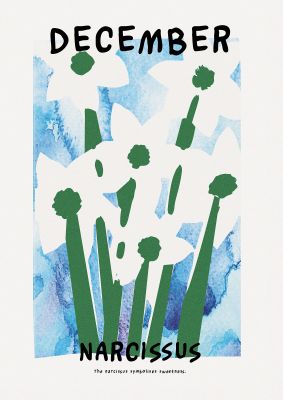 An unframed print of birth month flower series december botanical illustration in blue and green accent colour