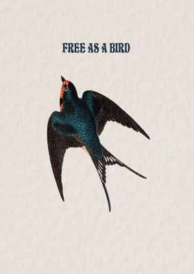 An unframed print of free as a bird illustrative illustration in beige and multicolour accent colour
