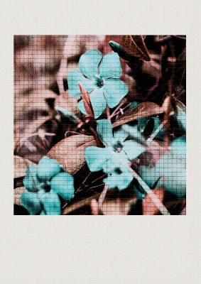 An unframed print of mosaic flower three botanical photograph in grey and blue accent colour