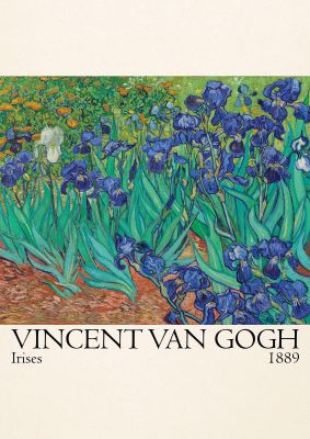 An unframed print of vincent van gogh irises 1889 a famous paintings illustration in blue and beige accent colour