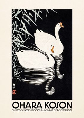 An unframed print of ohara koson white chinese geese swimming by reeds 1928 a famous paintings illustration in black and white and beige accent colour