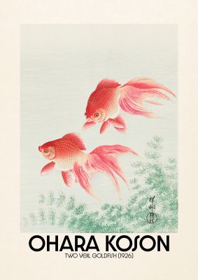 An unframed print of ohara koson two veil goldfish 1926 a famous paintings illustration in green and orange accent colour