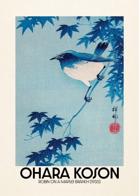 An unframed print of ohara koson robin on a maple branch 1935 a famous paintings illustration in blue and beige accent colour