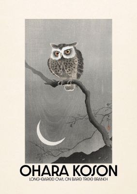 An unframed print of ohara koson long eared owl on bare tree branch a famous paintings illustration in grey and beige accent colour