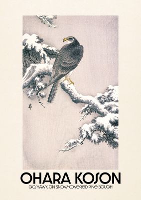 An unframed print of ohara koson goshawk on snow covered pine bough a famous paintings illustration in pink and beige accent colour