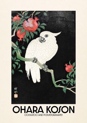 An unframed print of ohara koson cockatoo pomegranate a famous paintings illustration in black and green accent colour
