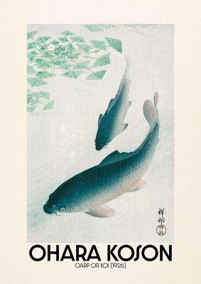 An unframed print of ohara koson carp or koi 1926 a famous paintings illustration in aquamarine and beige accent colour