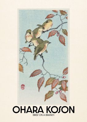 An unframed print of ohara koson birds on a branch a famous paintings illustration in turquoise and beige accent colour